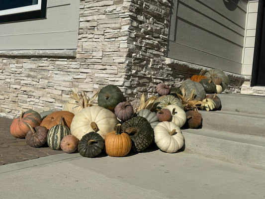 #4 - The Standard Membership