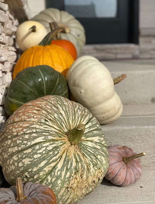 A Pinch of Pumpkins