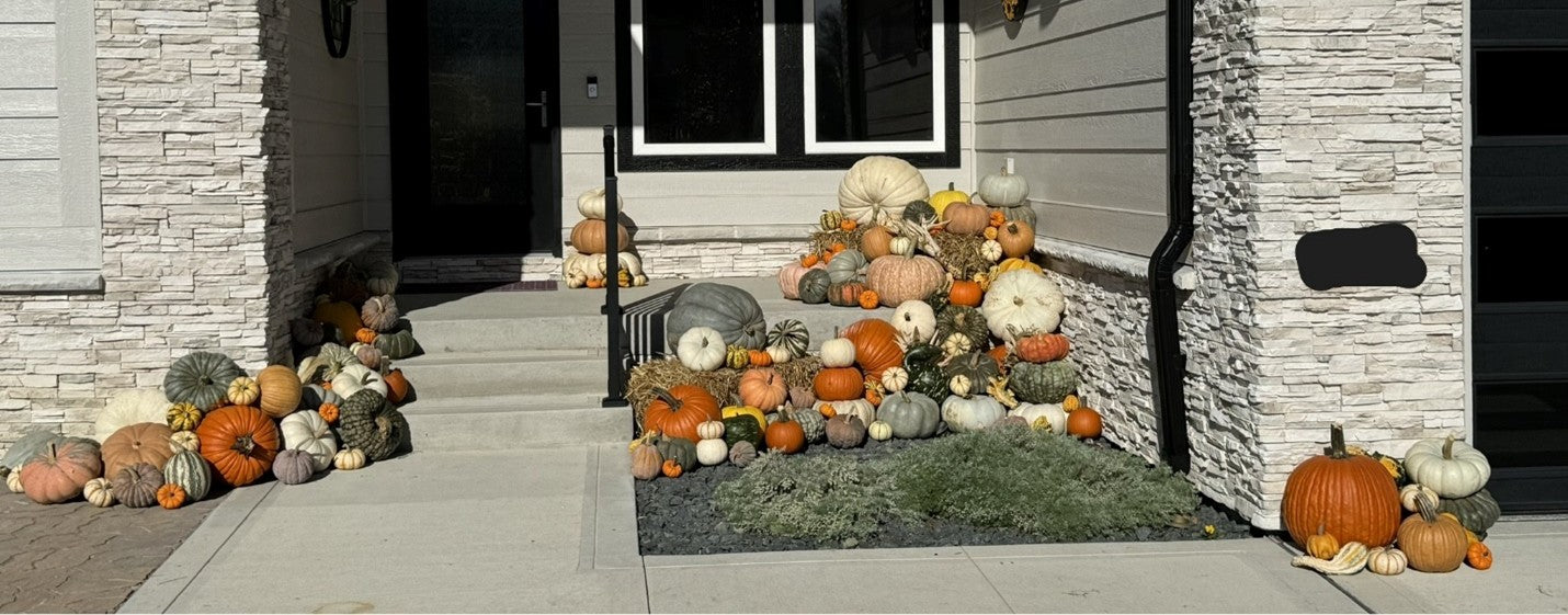 Package #4 - The Pumpkin Connoisseur