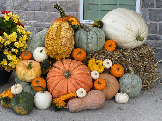 #2 - The VM & Co Signature