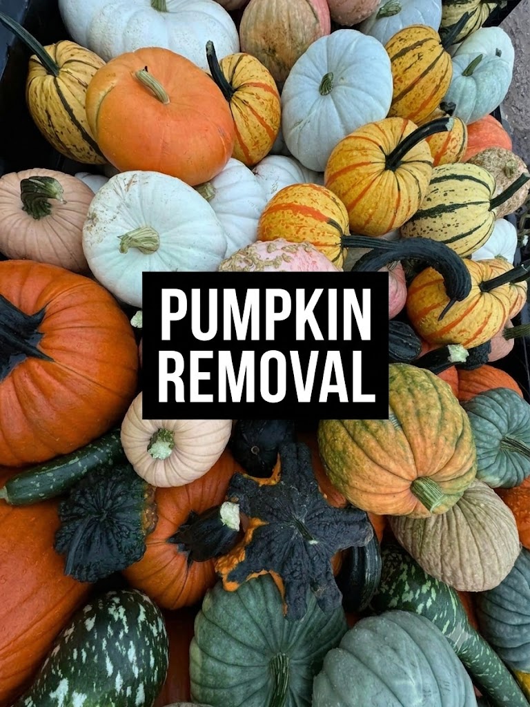 Porch Pumpkin Removal