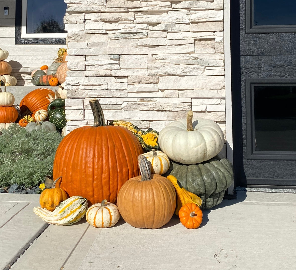 A Pinch of Pumpkins