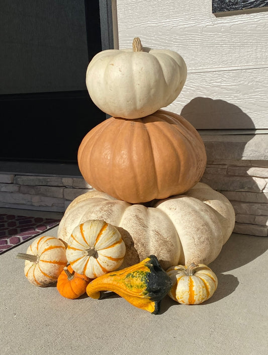 A Pinch of Pumpkins