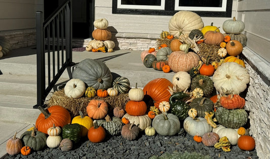 Package #3 - Life is Gourd