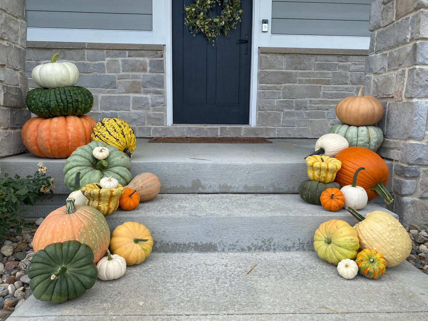 Christmas Special 2025